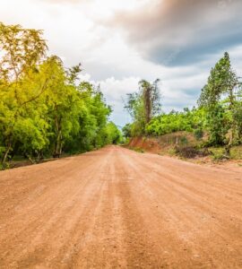 estrada-de-terra-na-floresta_1232-856 estrada-de-terra-na-floresta_1232-856